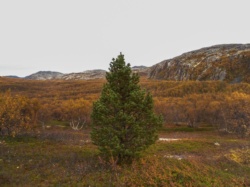 Photograph by Рыков Андрей