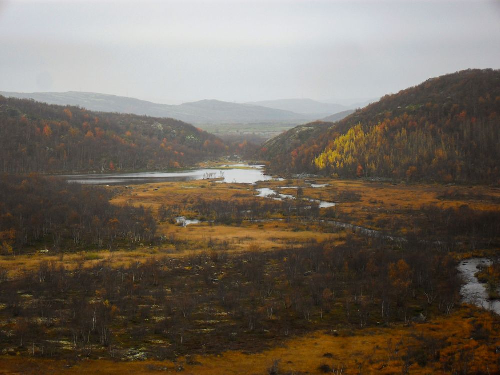 Photograph by Рыков Андрей