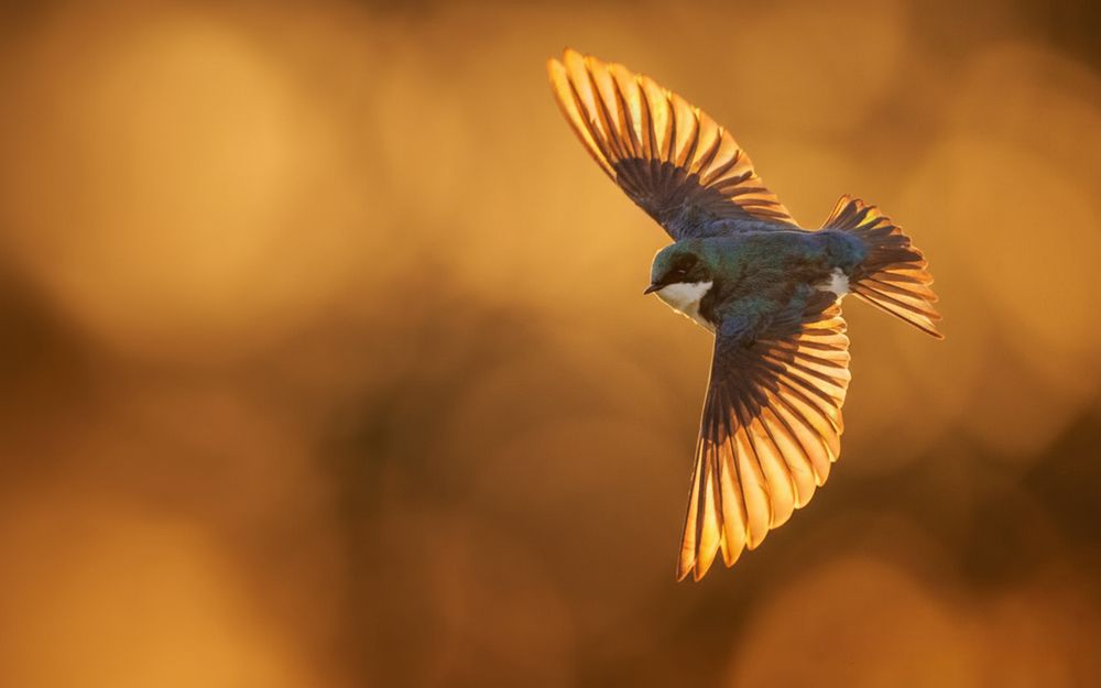 Photograph by Ирина Савостикова