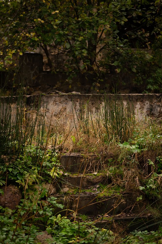 Photograph by Екатерина Одинцова