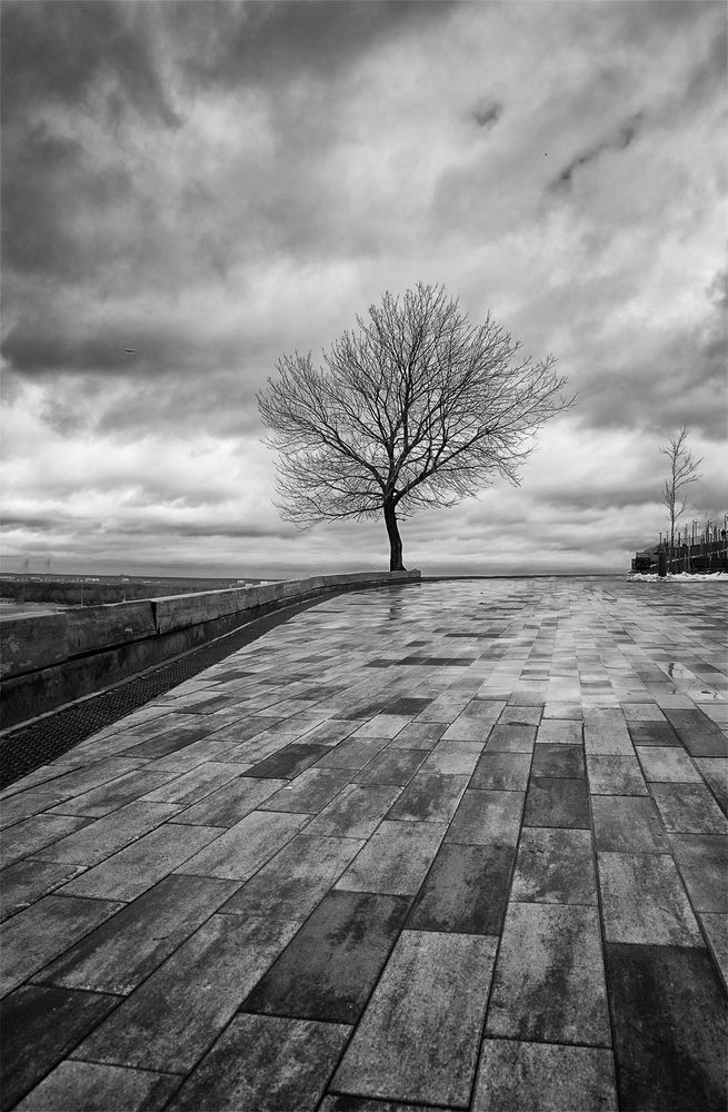 Photograph by Владимир