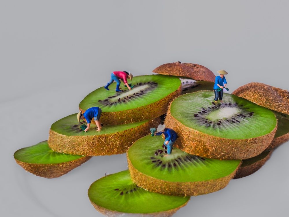 Фотография автора Николов Андриян