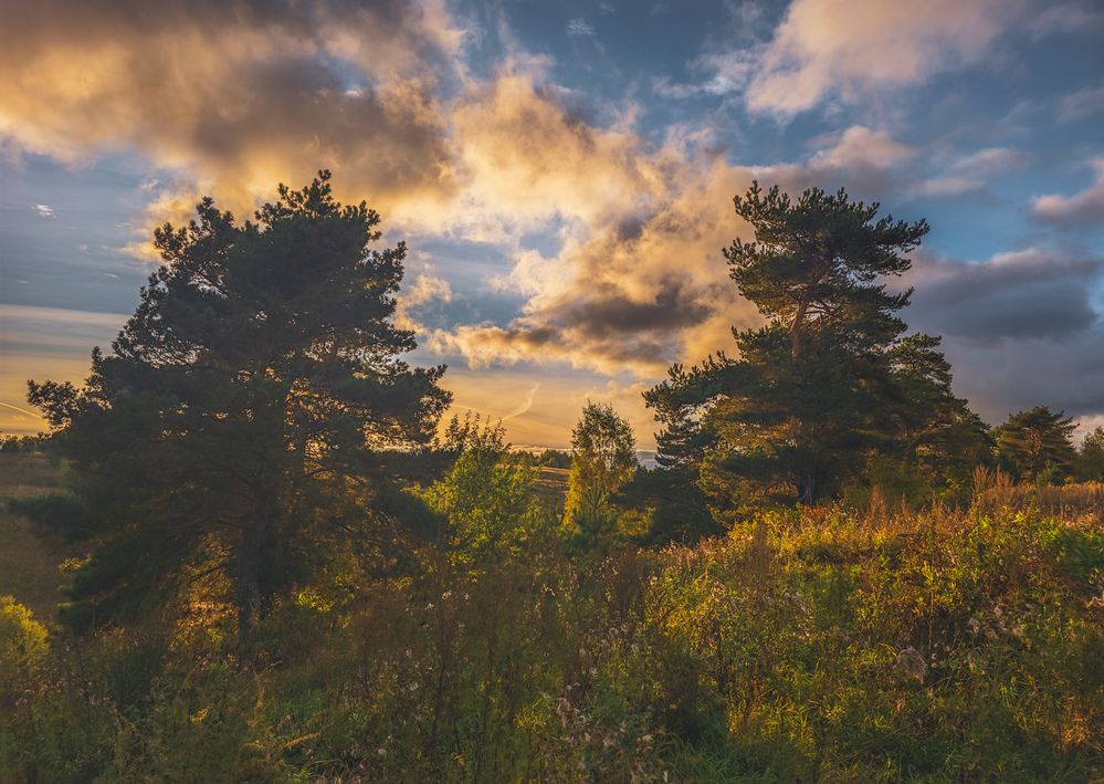 Photograph by Кирилл Сидоров