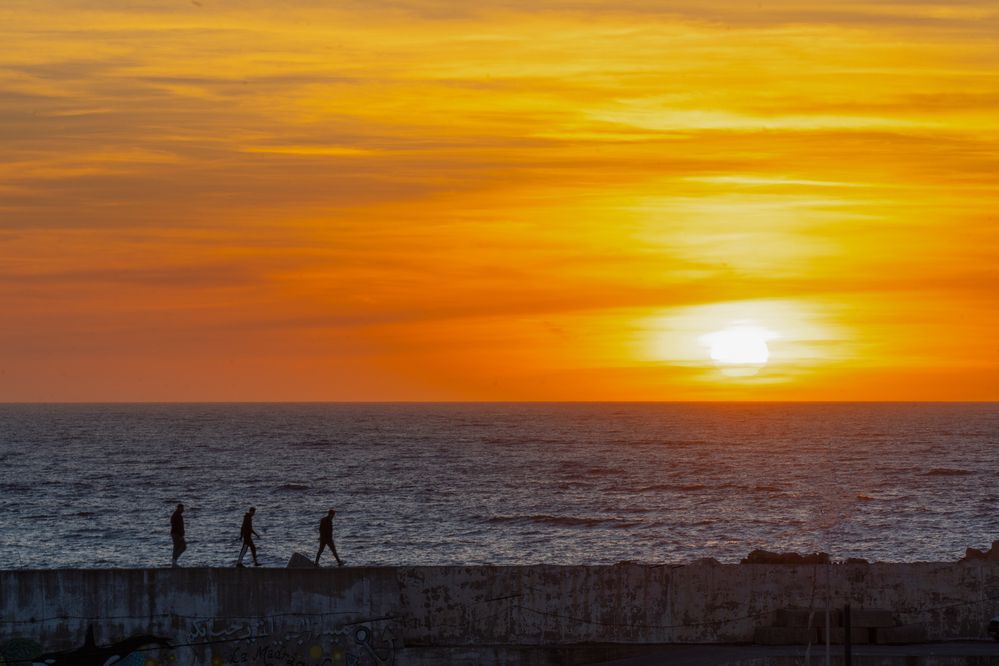 Фотография автора Светлана Зимина