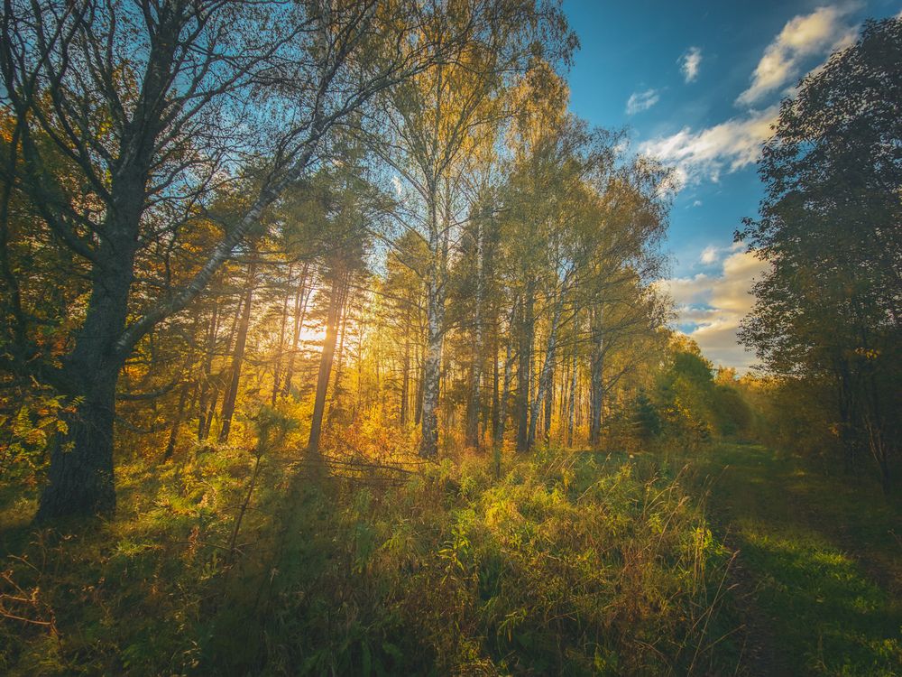 Photograph by Кирилл Сидоров