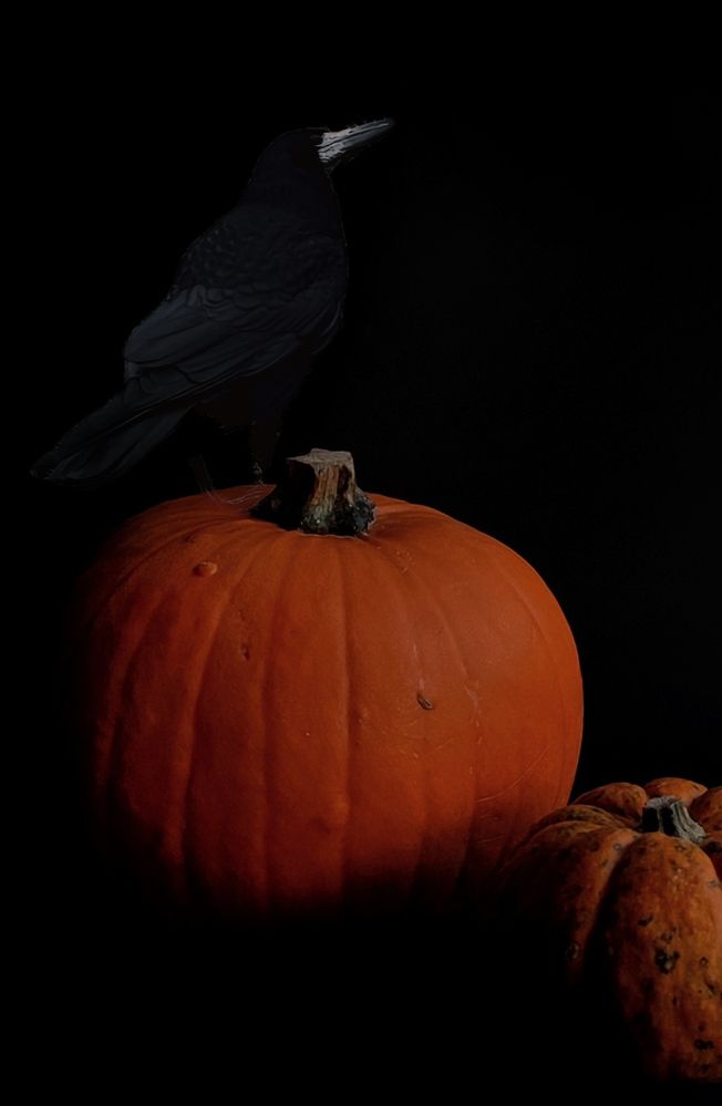 Photograph by Maria Stankevich