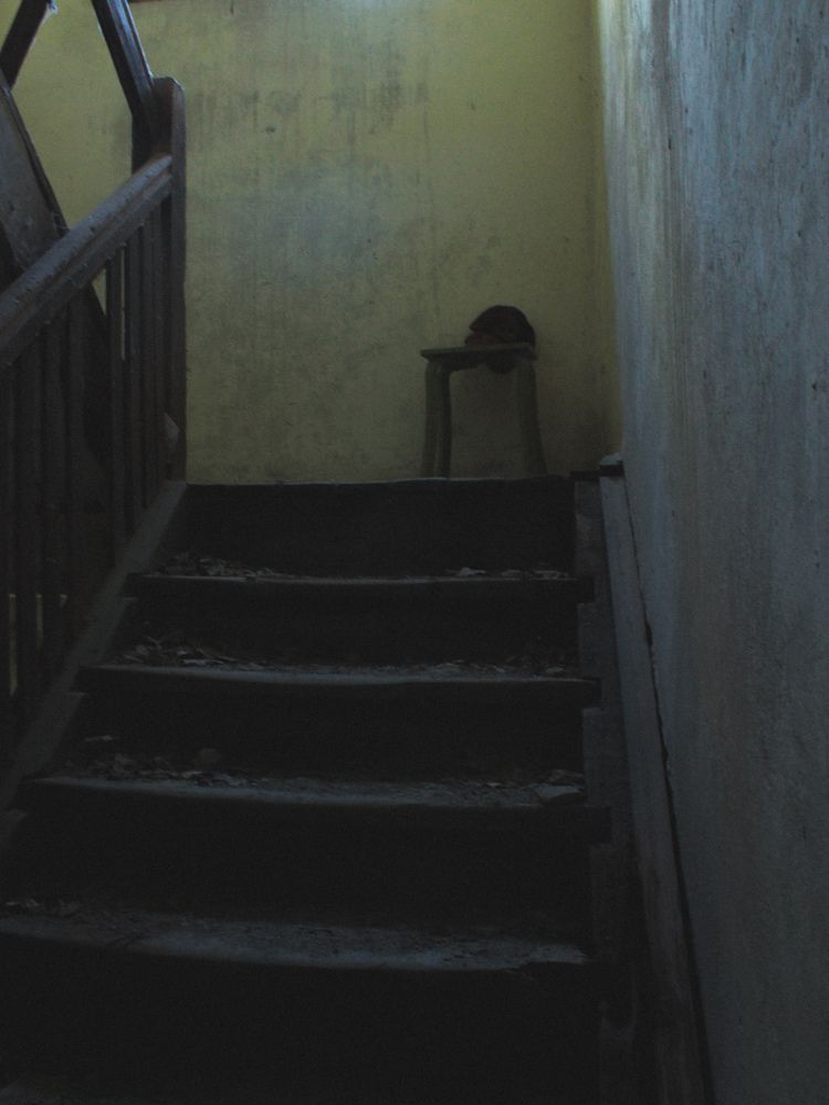 Photograph by Maria Stankevich