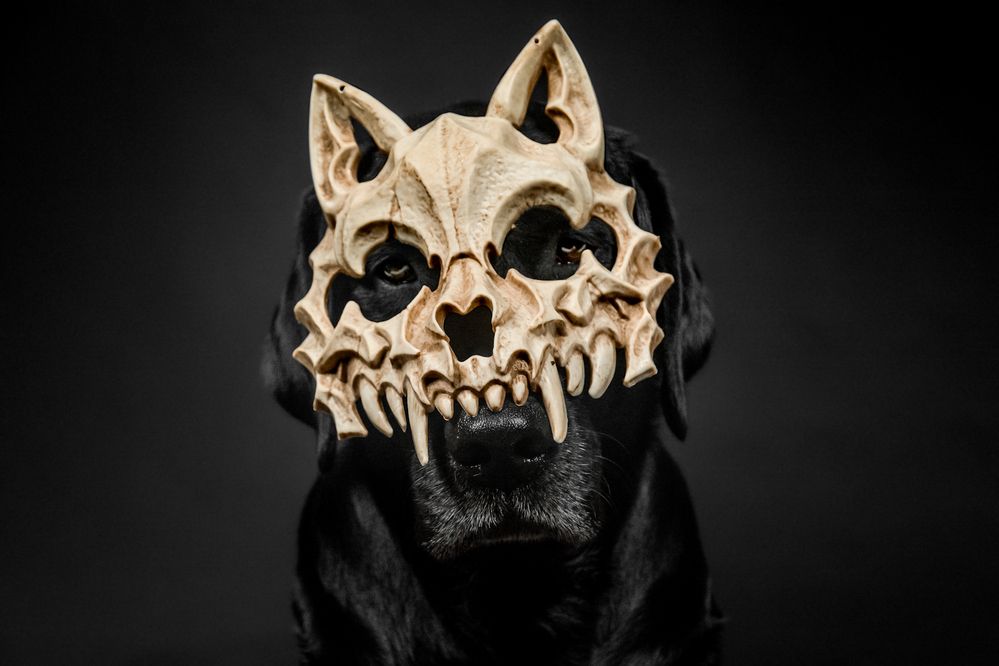 The awakening of the ancestors