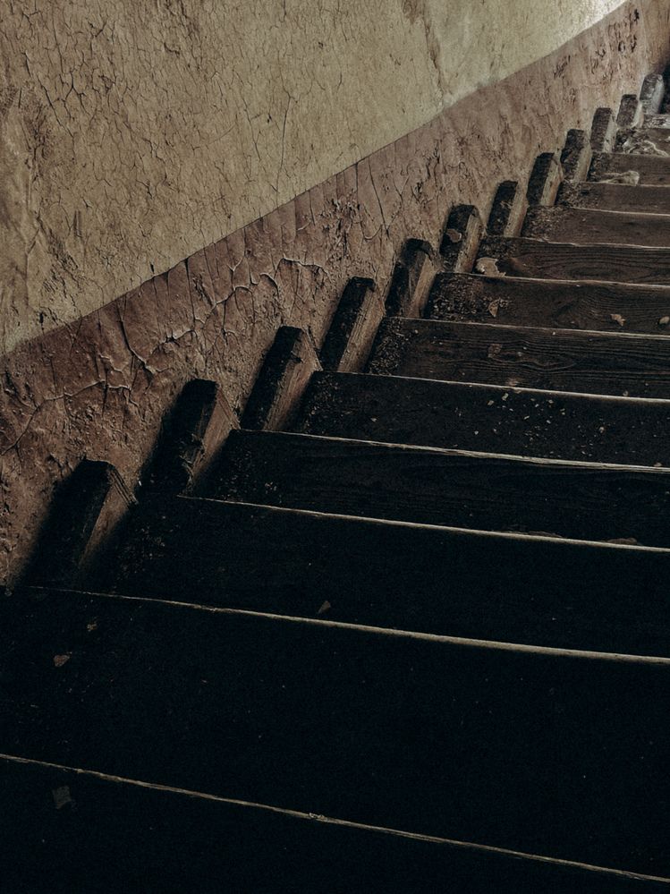 Photograph by Кристина Альшанская