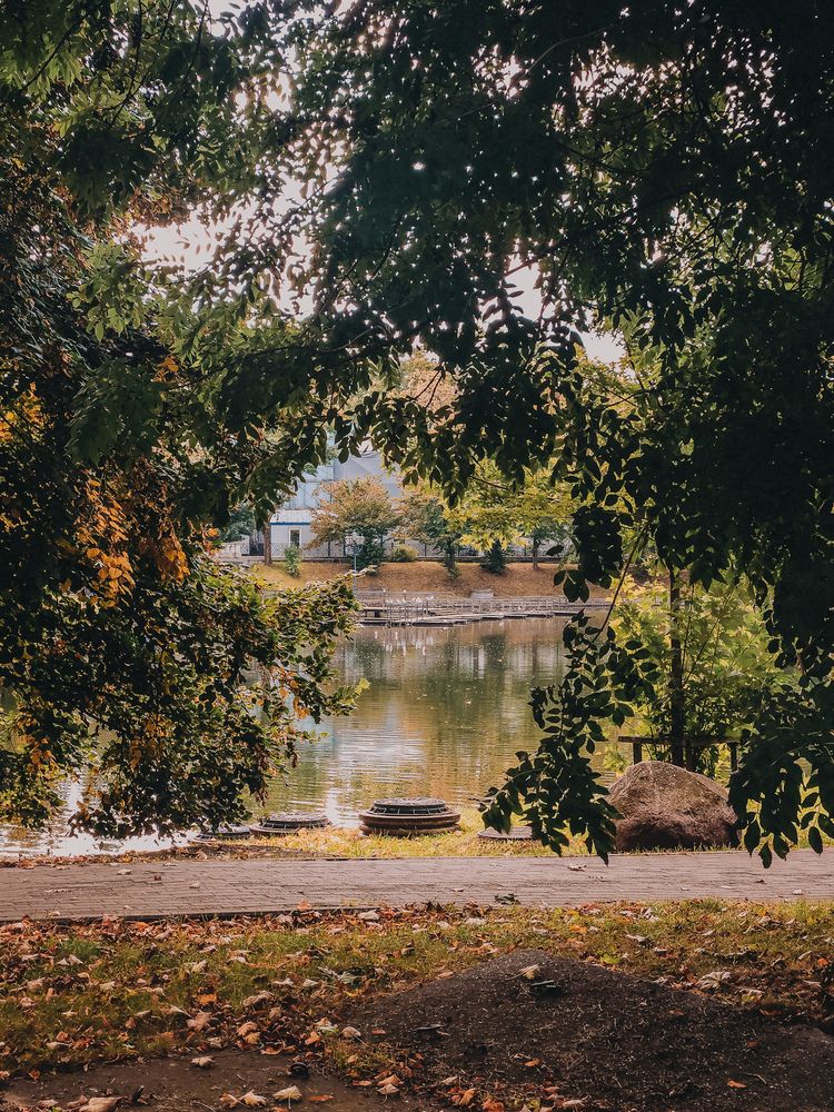 Photograph by Кристина Альшанская