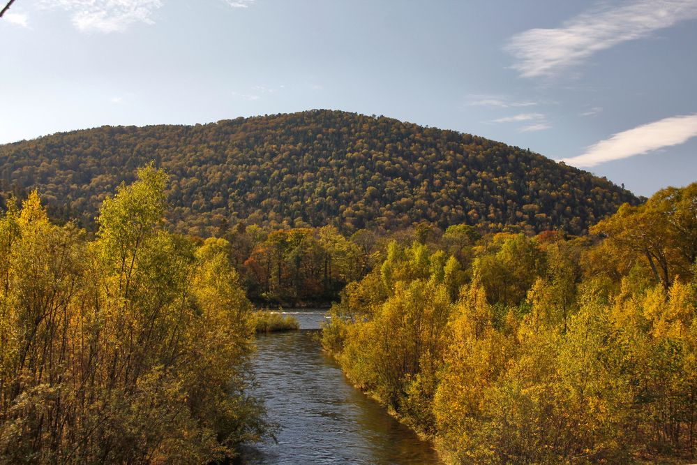 Фотография автора Наталия Мащенко
