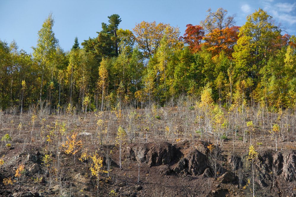 Фотография автора Наталия Мащенко