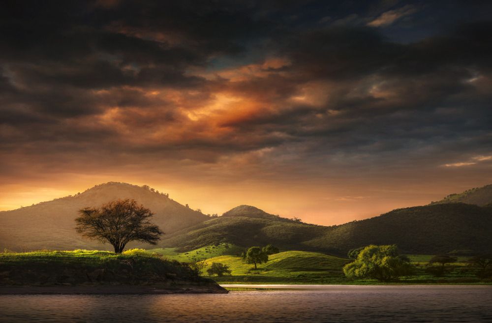 Фотография автора Eduardo Modolo