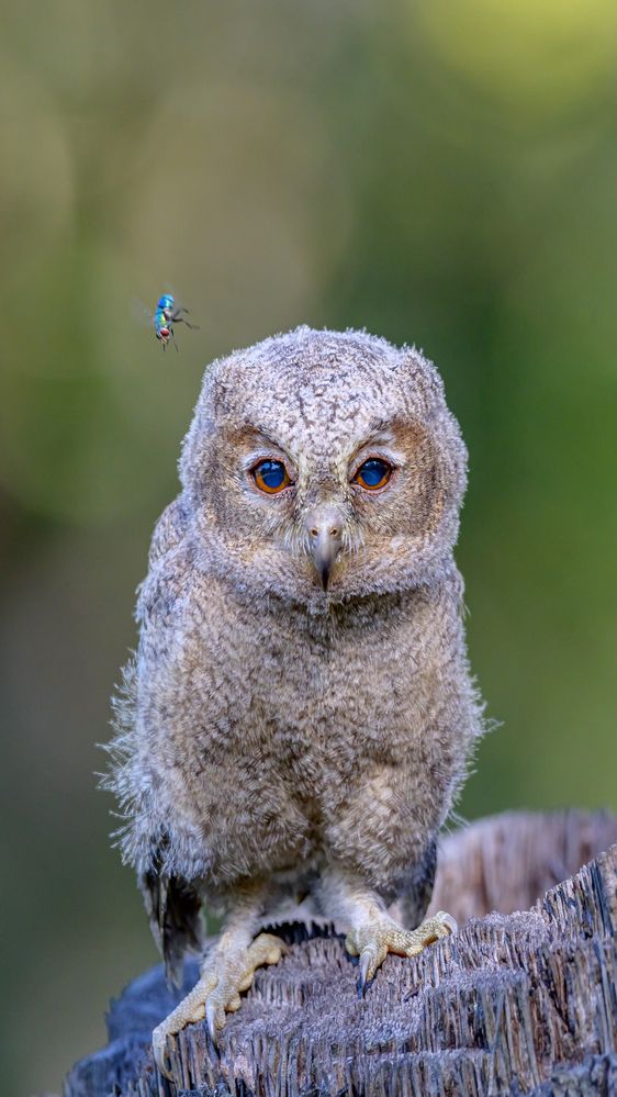 Stillness and Motion