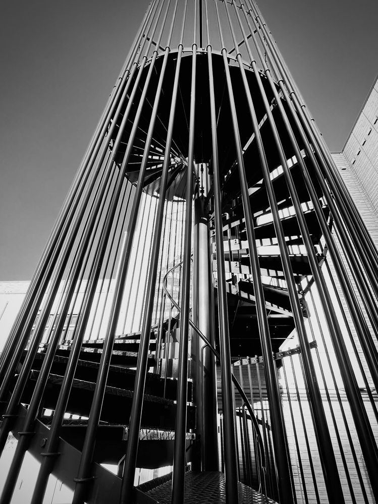 Photograph by _ Hironko_