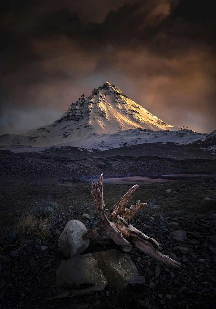 Фотография автора Eduardo Modolo