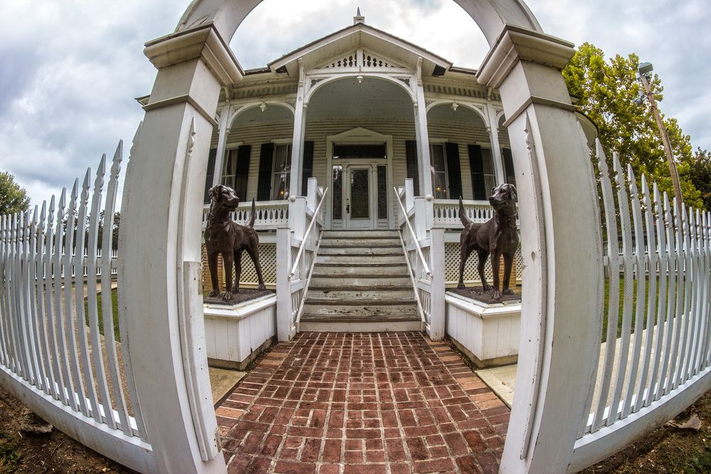 Photograph by Анатолий Костерев