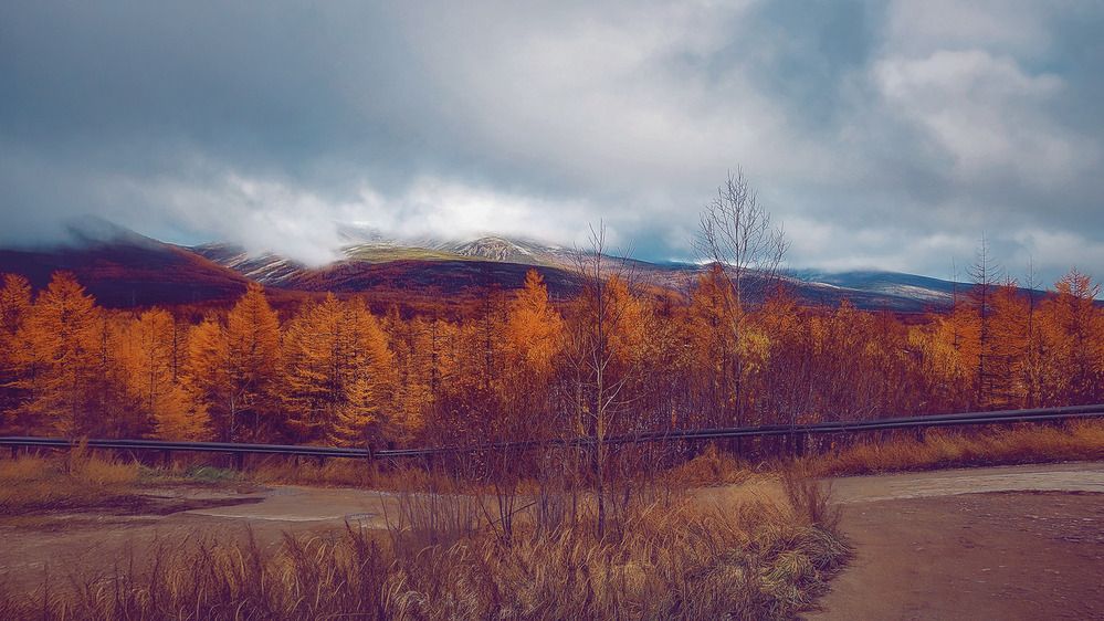 Sokol, Magadan region