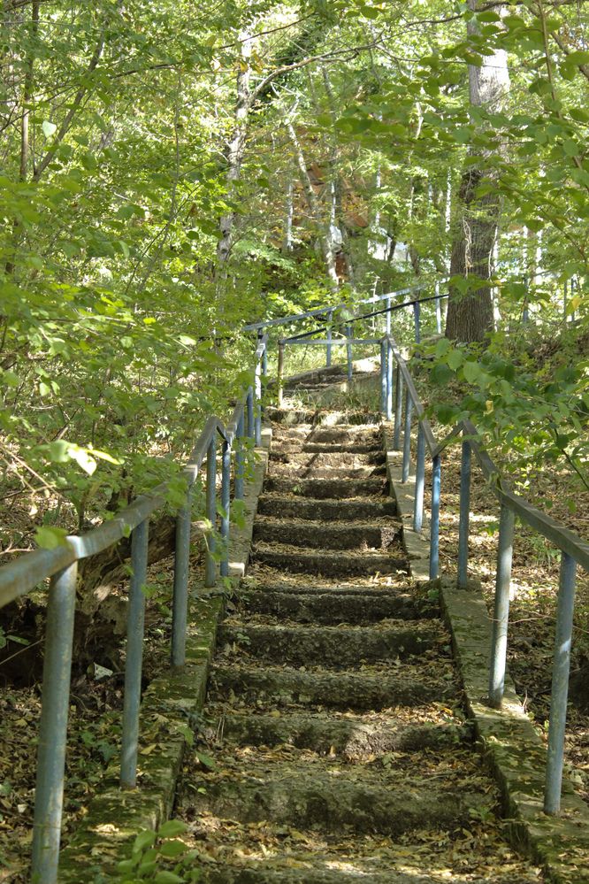 Photograph by Ирина Дмитриенко