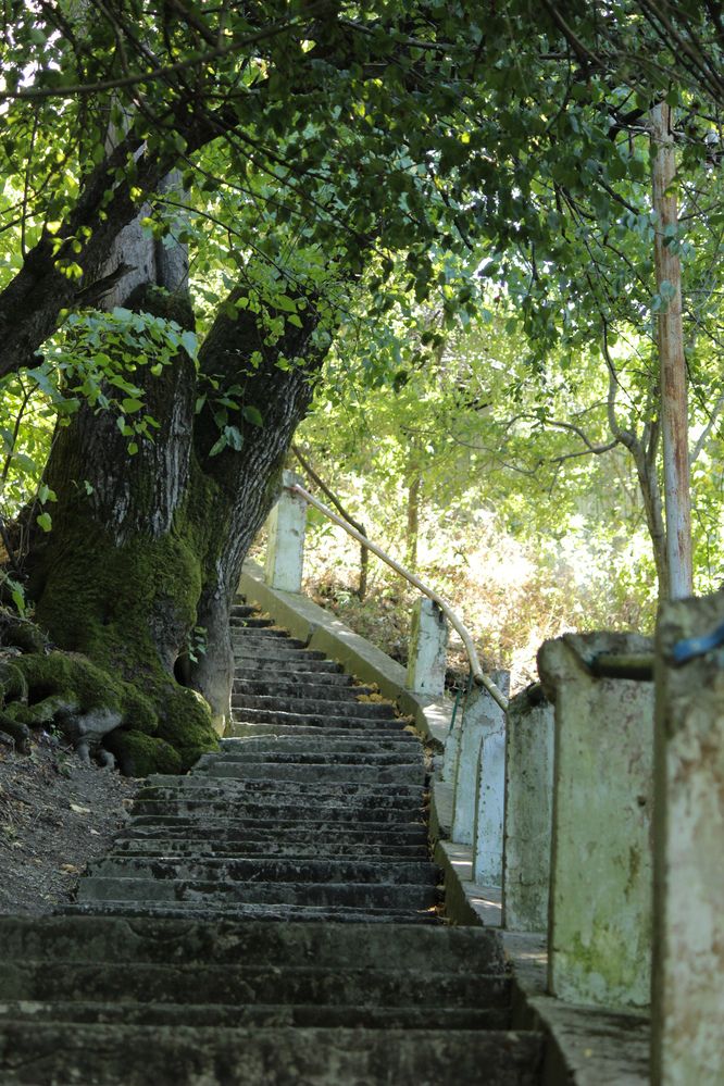 Photograph by Ирина Дмитриенко