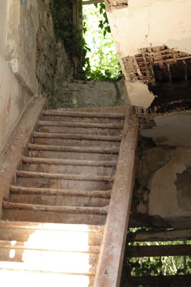 Photograph by Ирина Дмитриенко