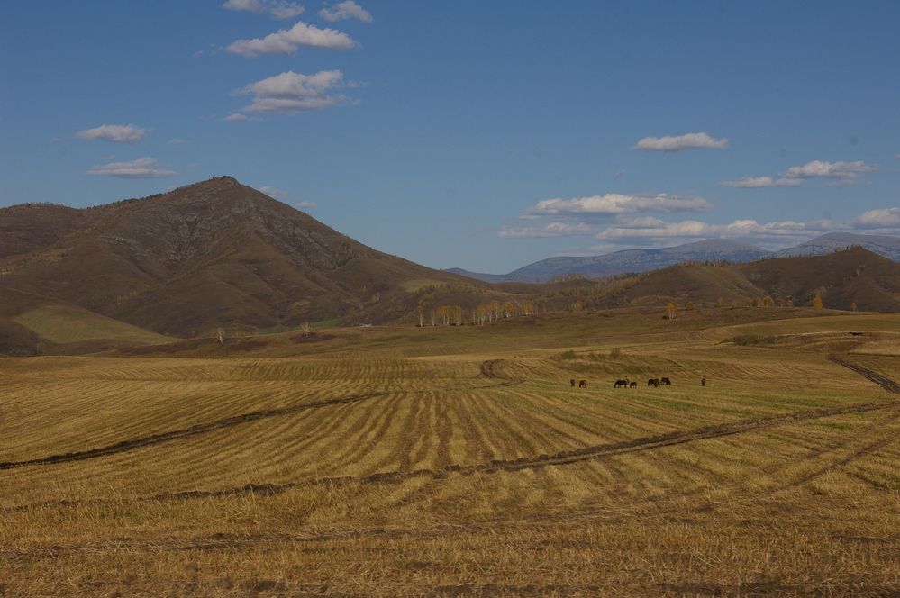 Photograph by Елена Алешкевич