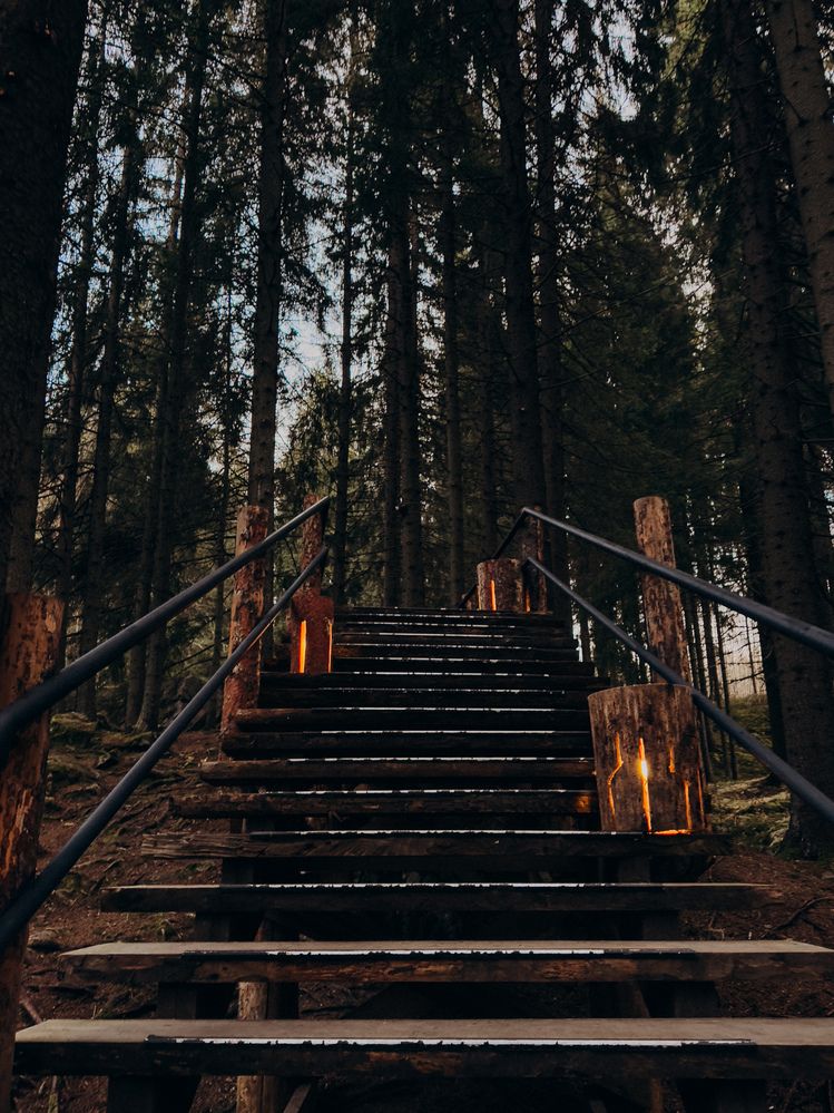 Photograph by ALISA NEZHINSKAYA