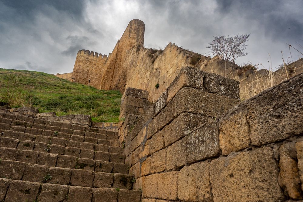 Фотография автора 