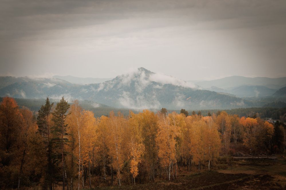 Photograph by Татьяна Гребенникова