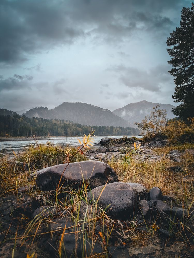 Photograph by Татьяна Гребенникова