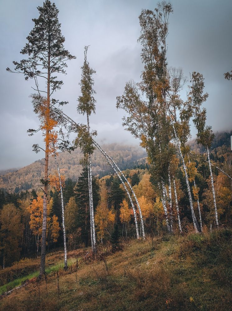 Photograph by Татьяна Гребенникова