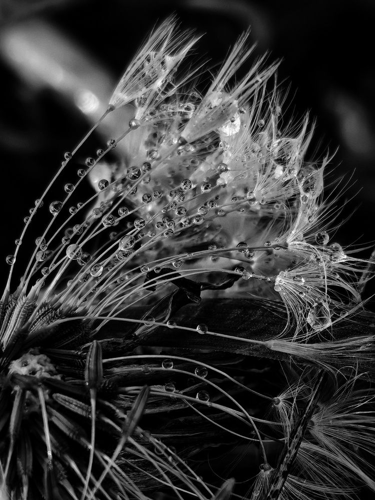 Photograph by Инна Мухина