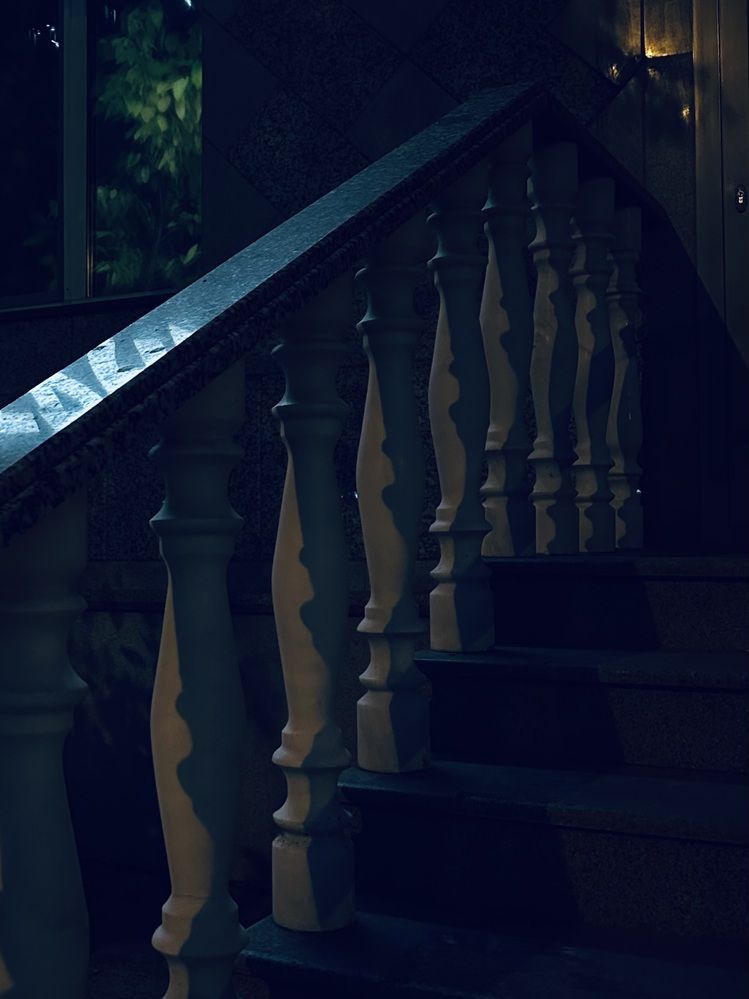 Photograph by Ксения Гулькова