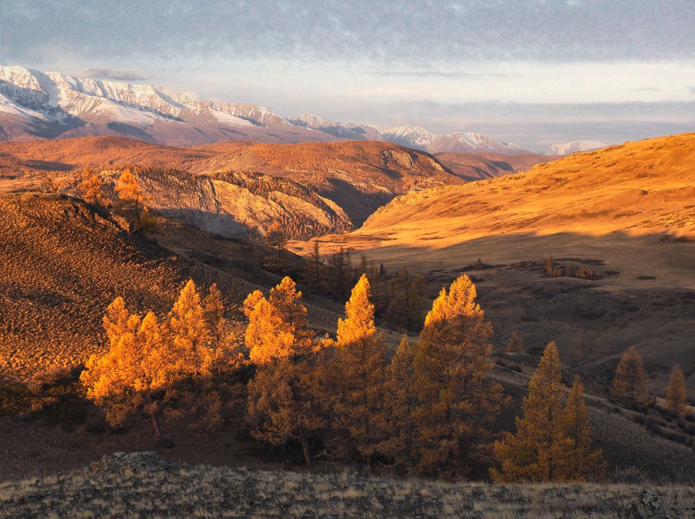 Photograph by Галина Хвостенко