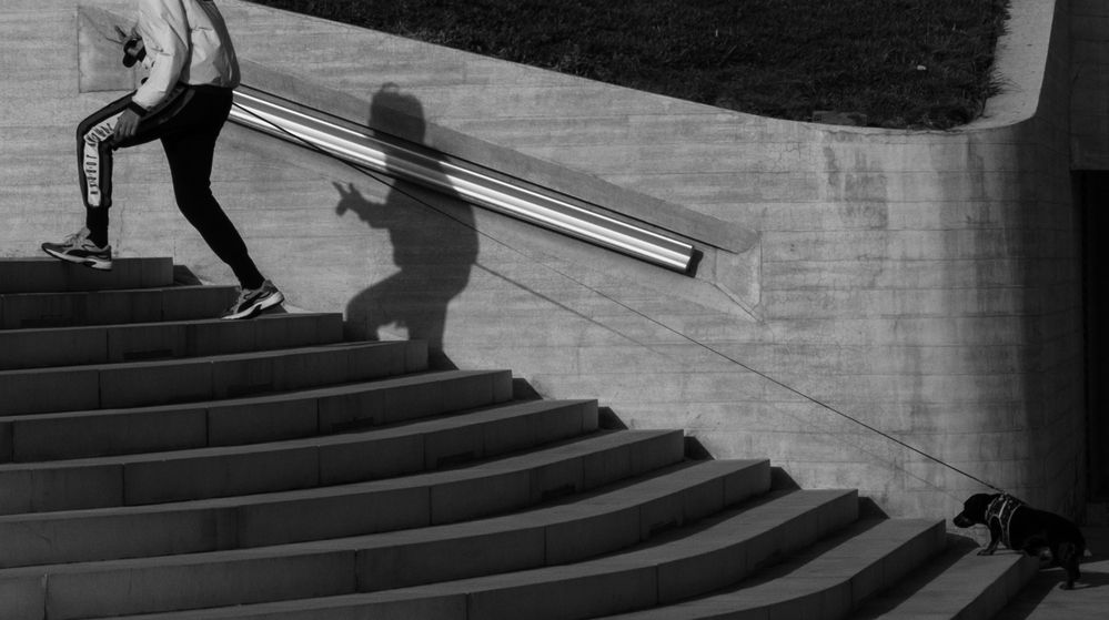 Фотография автора Javid Hashimov