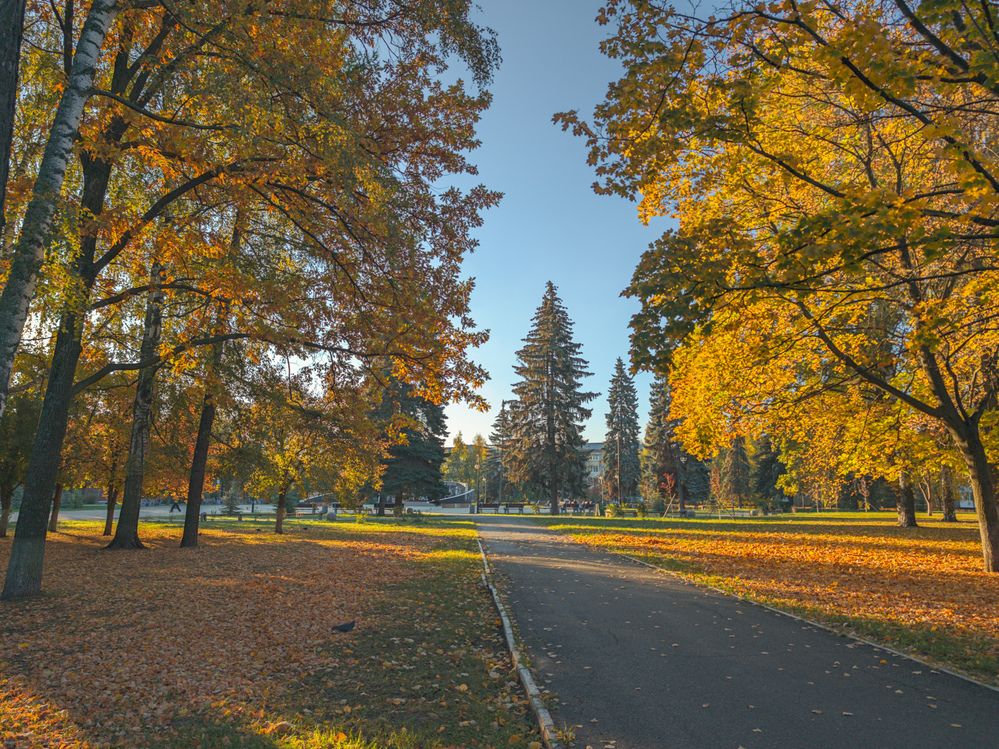 Photograph by Ксения Шилина