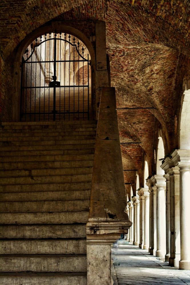 Photograph by Елена Брижеватая