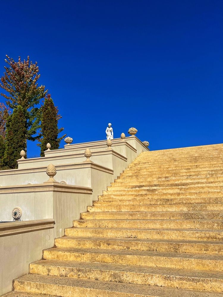 Photograph by Яна Сел