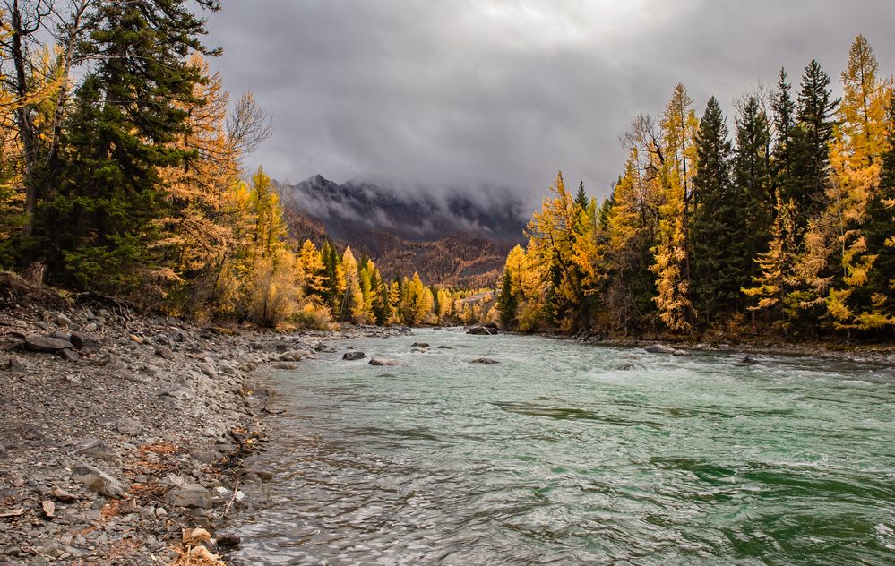 Photograph by Елена Павлова