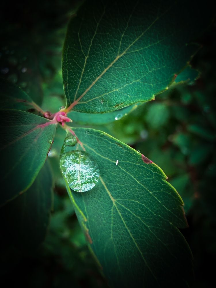 Photograph by Евгений Фролов