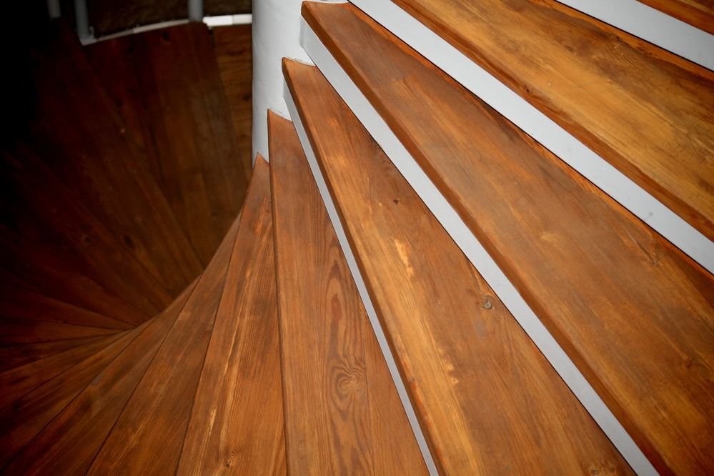 Photograph by Ольга Рыбина