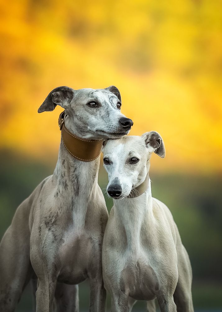 Photograph by Наталья Орел