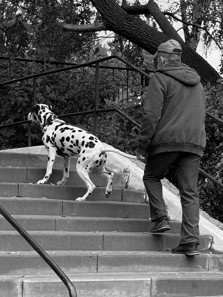 Photograph by Евгений Фролов