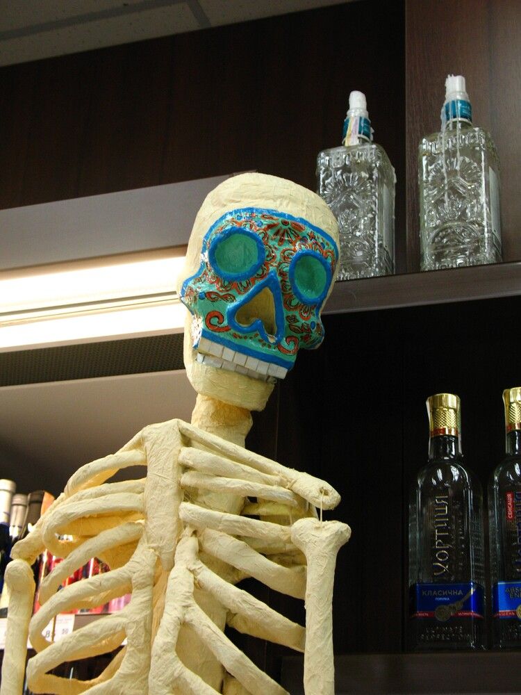 Страж... или собутыльник