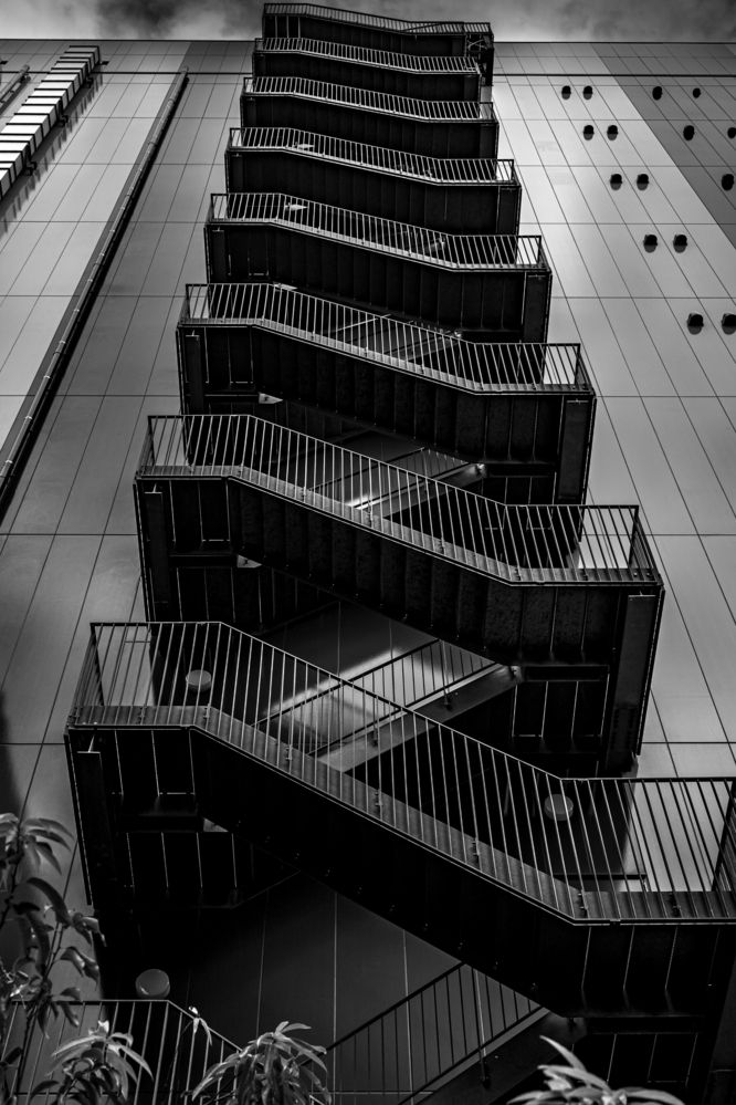 Photograph by Suzuki Ryuta