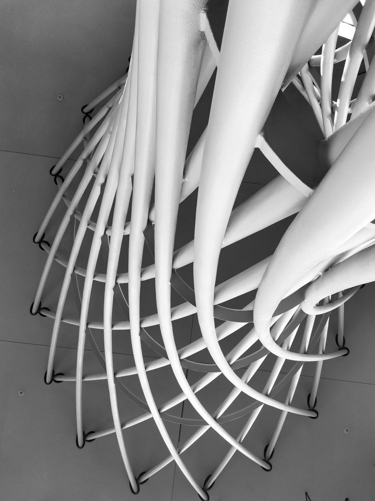 Photograph by Alessandra Calosso
