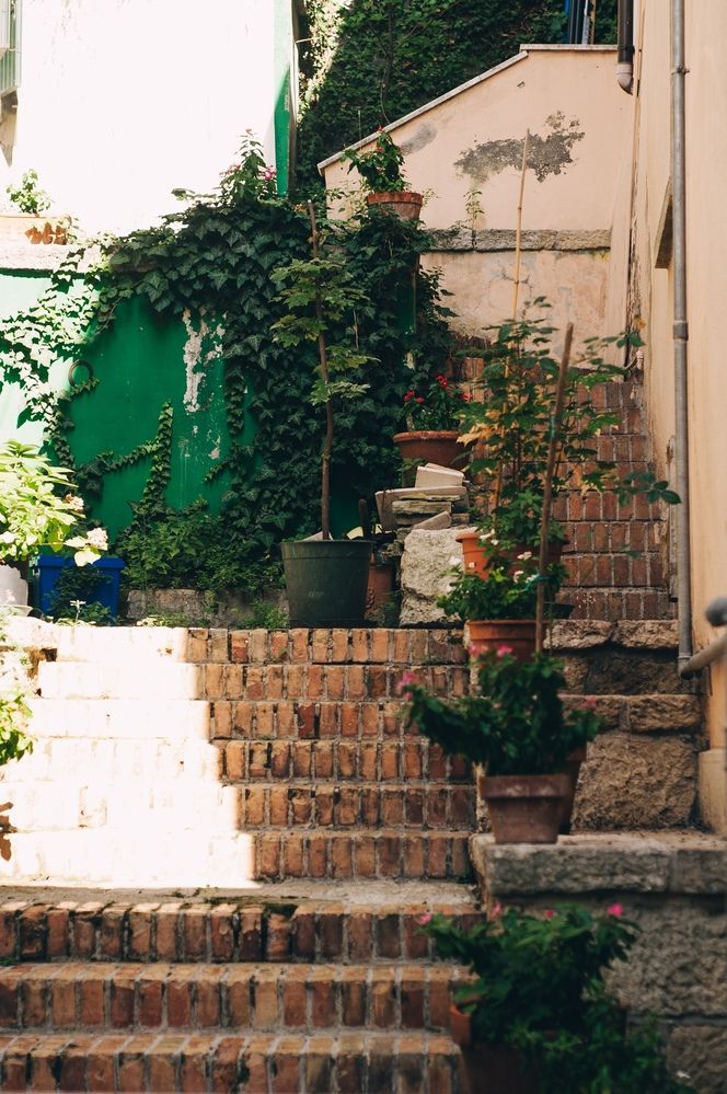 Photograph by Катерина Гущина