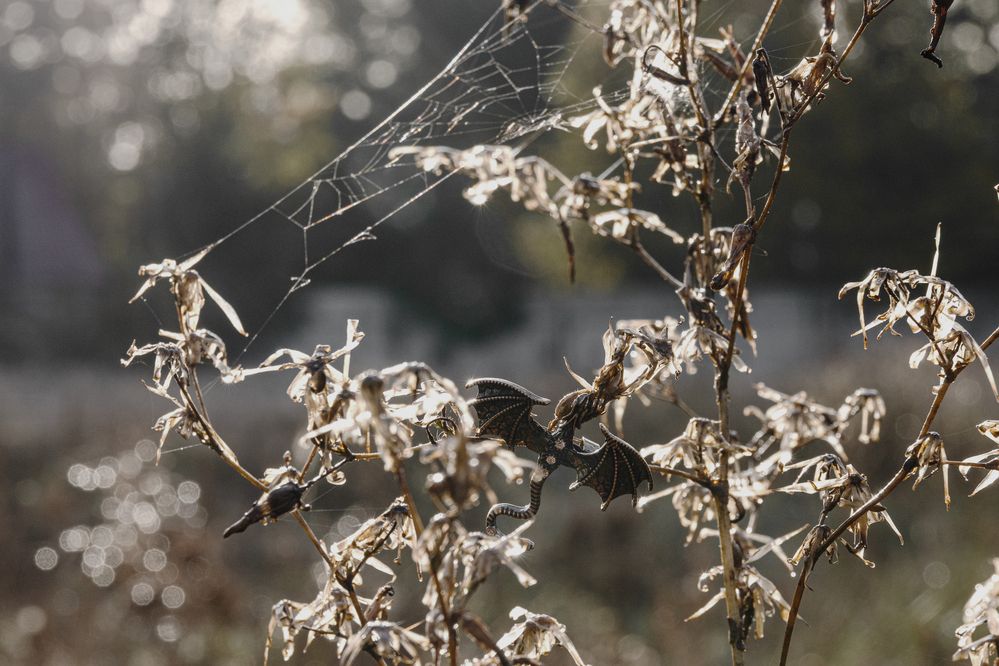 Фотография автора Ирина Гриценко