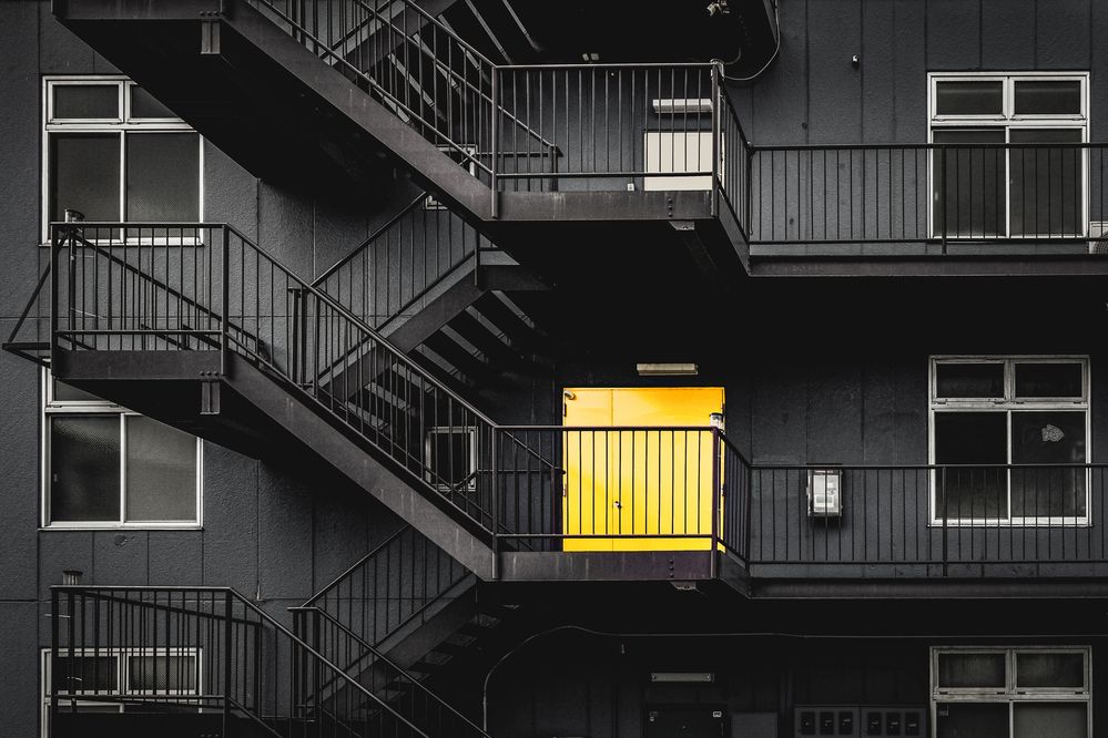 Photograph by Suzuki Ryuta