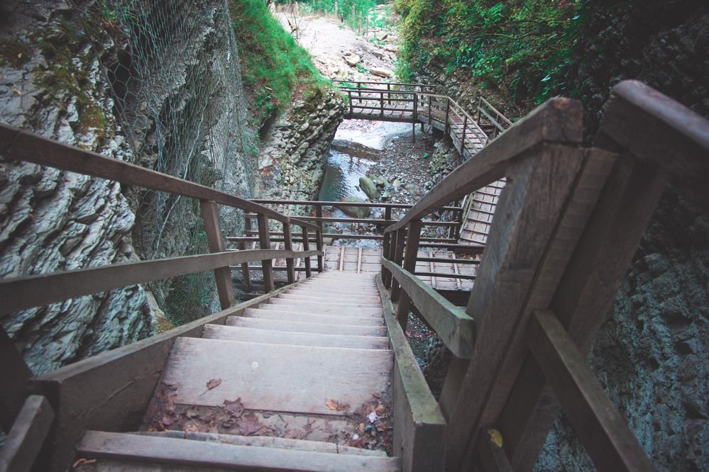 Фотография автора Анна Петина